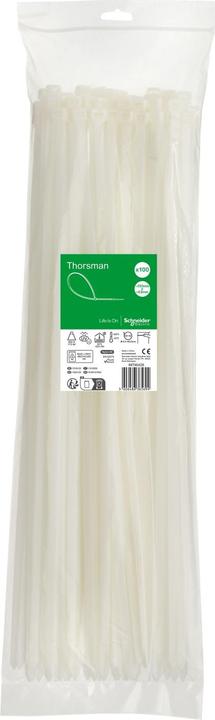 Schneider Colliers de serrage Thorsman, dimensions : 550X8,8 mm, UE=100 pièces Couleur : clair IMT46426 (Serre-câbles en plastique, 550 mm, 100 pcs)