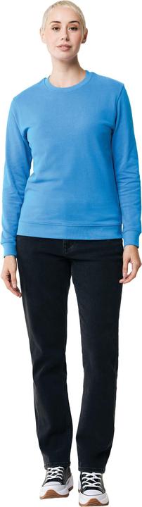 Image du produit Universal Textiles - Sweat ZION - Adulte (3XL)