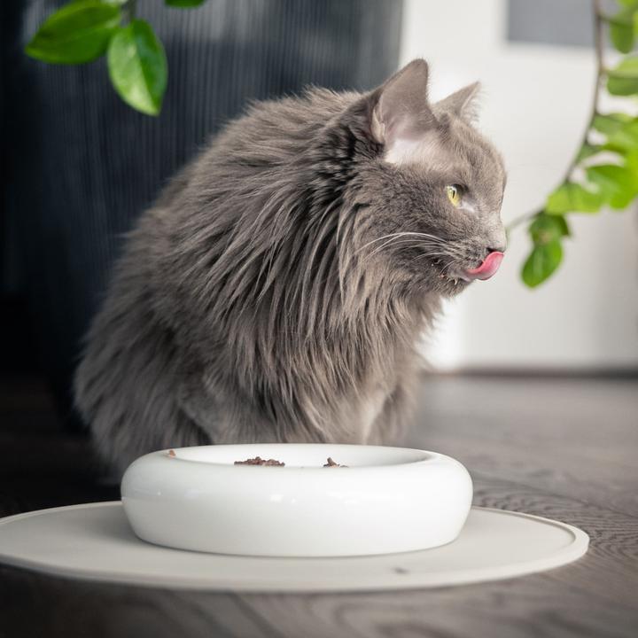 Produktbild LucyBalu DROP Katzennapf