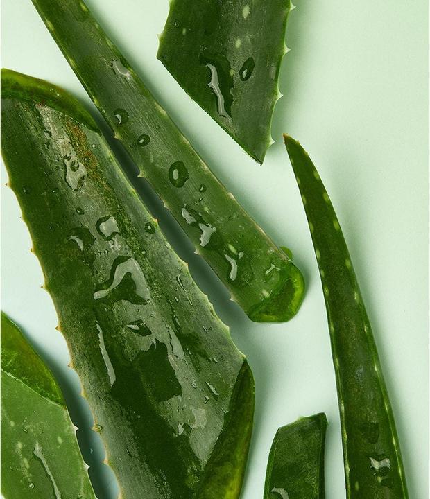 Actual product image NIVEA Bio Aloe Vera (50 ml)