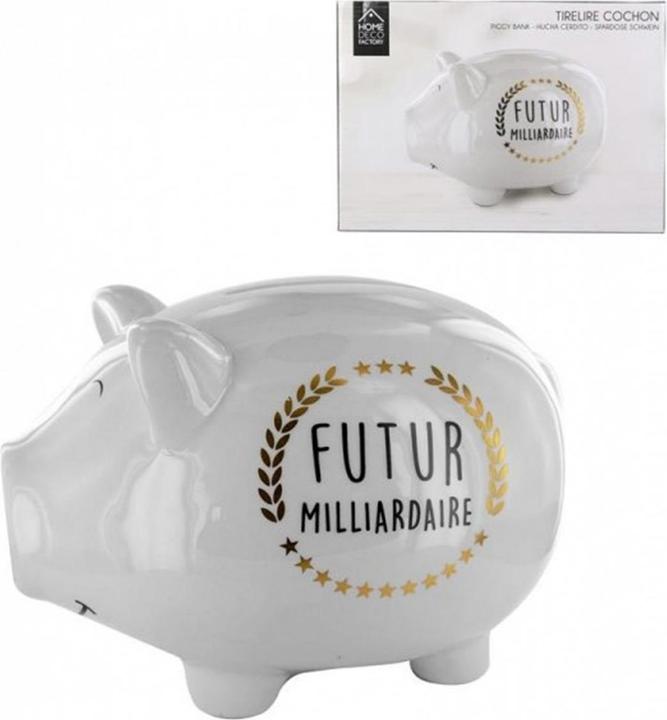 Actual product image Sombo Piggybank Milliardaire