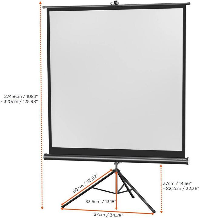 Actual product image Celexon Eco tripod, screen, 1:1 (86.22", 1:1)