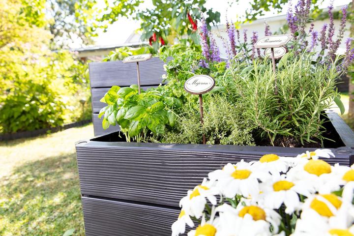 Produktbild Garantia Ergo Quadro M