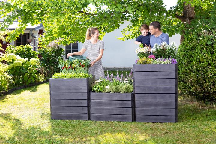 Actual product image Garantia Ergo Quadro