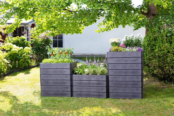 Actual product image Garantia Ergo Quadro