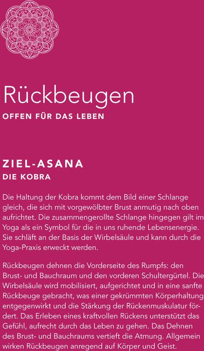 Image du produit Yoga auf dem Stuhl für Senioren (Allemand, Christine Grein-de Lima, 2022)