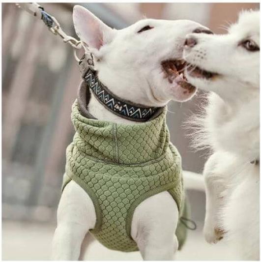 Immagine prodotto Hurtta Collare Razzle-Dazzle nero 55-65 cm (56, 58, 60, 62, Cane, Generale)