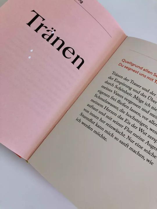 Actual product image Die Kraft des Staunens (German, David Steindl-Rast, 2022)