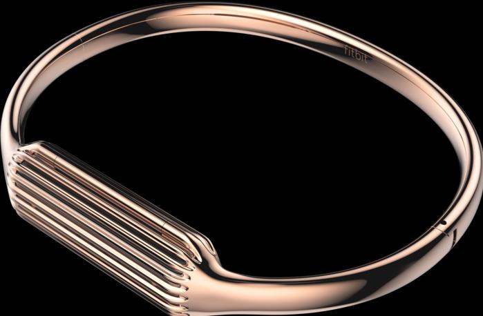 Actual product image Fitbit Flex 2 bracelet (Stainless steel)