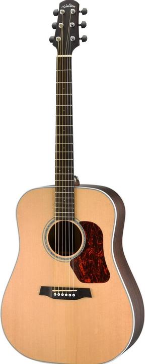 Walden D803E (Western guitar, Sitka spruce, Ovangkol, solid (back and sides), Solid (ceiling))