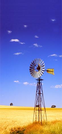 Image du produit Trenddeko Roue à picots (91 x 200 cm)