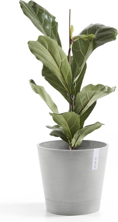 Produktbild Ecopots Venice (30 cm)