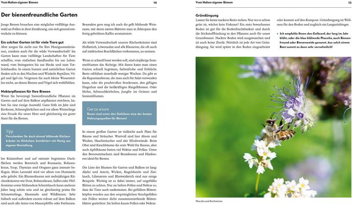 Produktbild Imkern – Bienenhaltung für Einsteiger (Deutsch, Pia Schad, 2022)