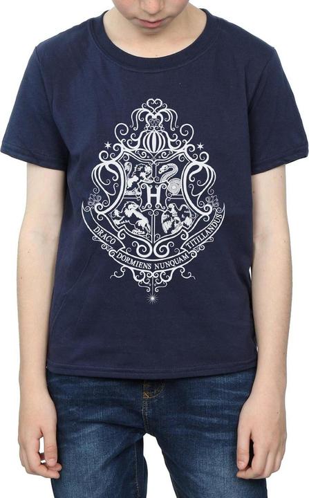 Image du produit - T-shirt HOGWARTS DRACO DORMIENS CREST - Garçon (152, 158)
