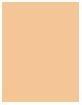 Immagine prodotto Shiseido Fond de Teint Rivitalizzante n. 160 (160 Conchiglia)