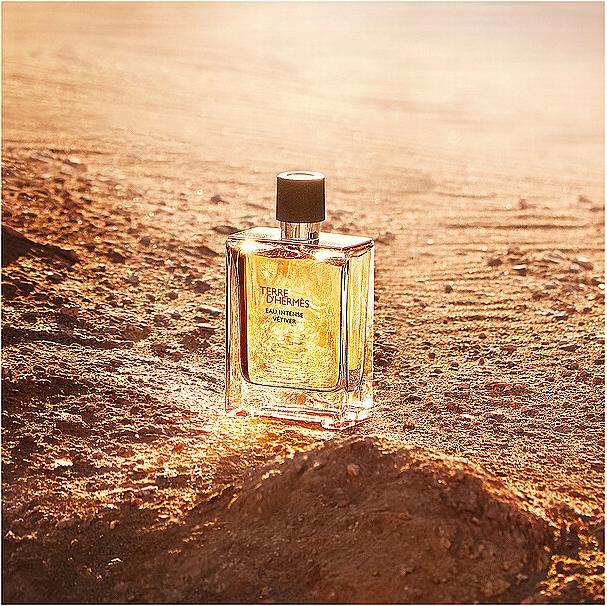 Immagine prodotto Hermès Terre D'hermes (Eau de parfum, 100 ml)