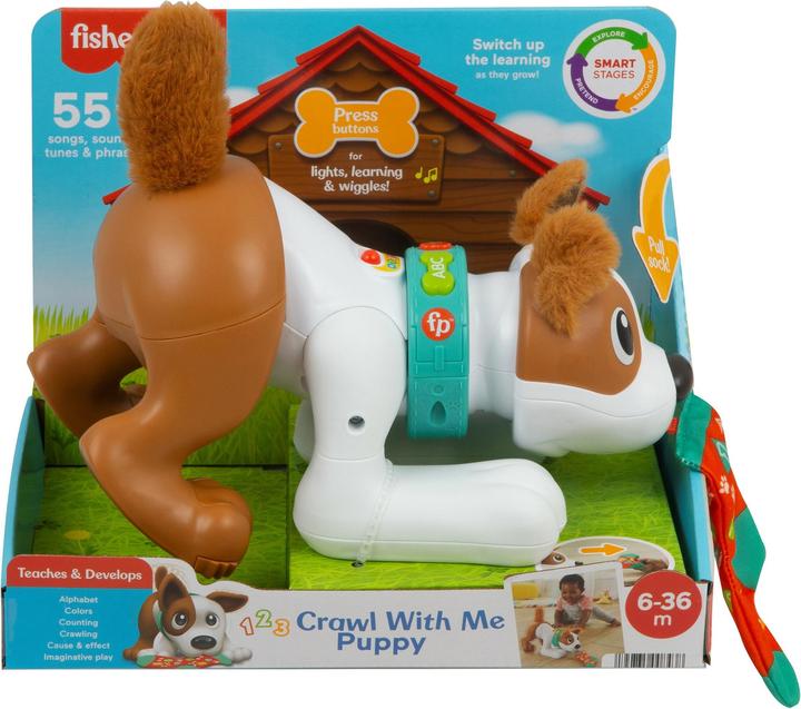 Actual product image Fisher-Price - 123 Crawl With Me Puppy-DU