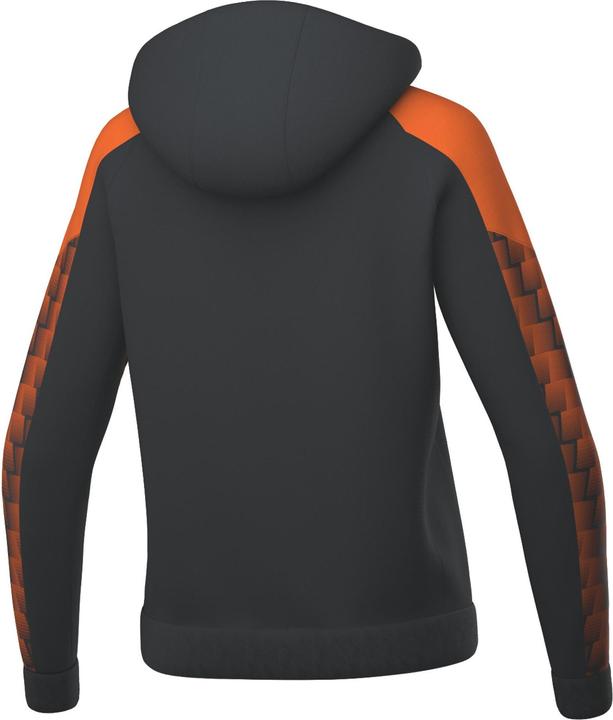 Image du produit Erima Veste d'entraînement Evo Star avec capuche (42)