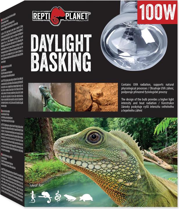 Actual product image Repti Planet Daylight Basking Spot 100 W (UVA, UVB)