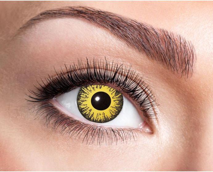 Produktbild Zoelibat Sonnenblume (Gelb/Schwarz)