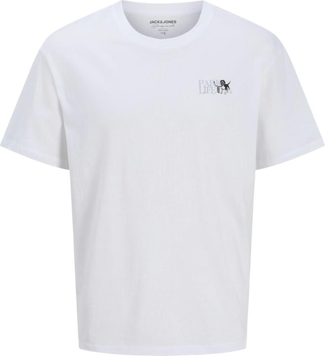 Jack & Jones Jorpark Tee Ss Crew Neck Ft Styd Aw24