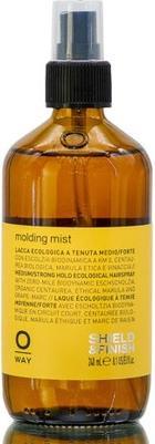 Oway Molding Mist 8.1 oz (240 ml)