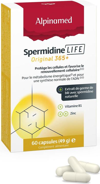 Actual product image Alpinamed Spermidinelife Original Caps 60 Capsules (60 Piece, Capsules, 80 g)