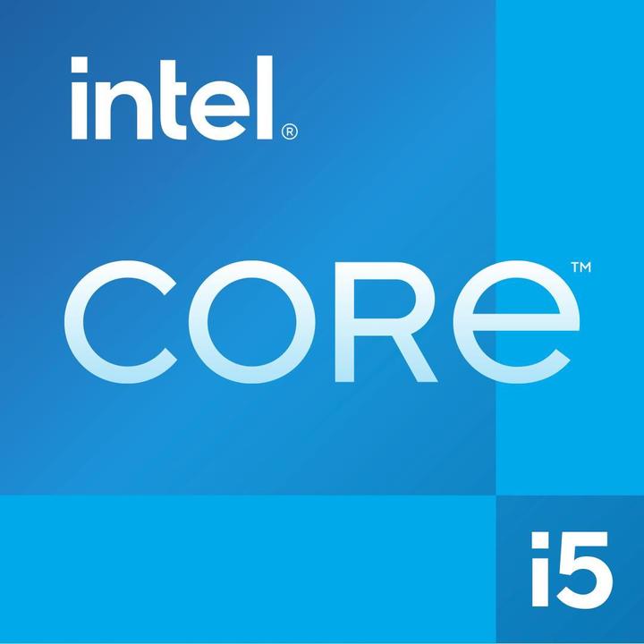 Intel Core i5-13400 (LGA 1700, 2.50 GHz, 10 -Core)