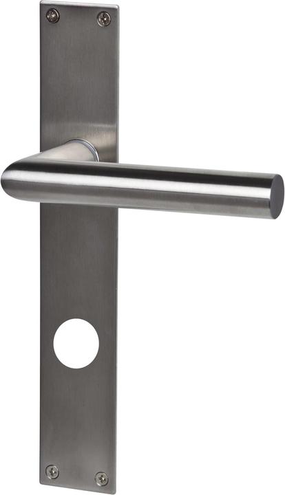 Actual product image Alpertec Door fitting Reinach
