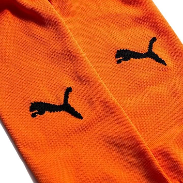 Actual product image Puma Team LIGA Socks CORE-703441 (31 - 34)