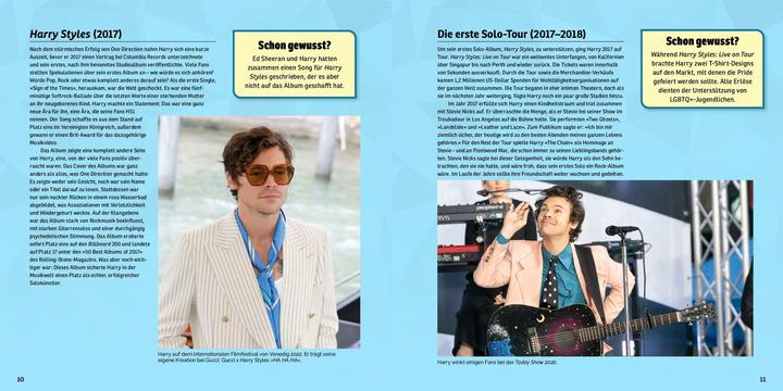 Actual product image Tribute Edition Harry Styles mosaic sticker book