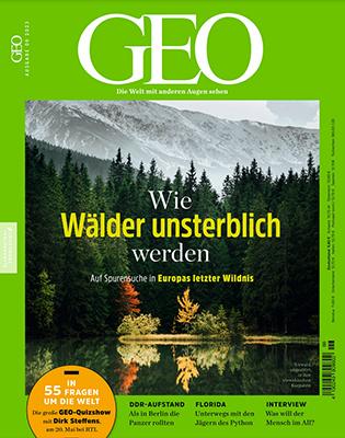Produktbild Geo (12 Monate, Physisch)