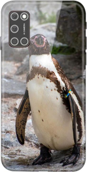 Pinguin