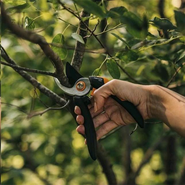 Actual product image Fiskars P321 SingleStep