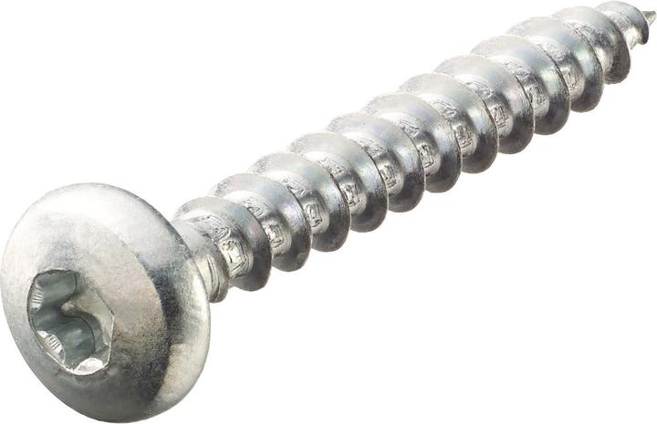 Actual product image Suki Universal screw Pan-Head (50 Screws per piece)