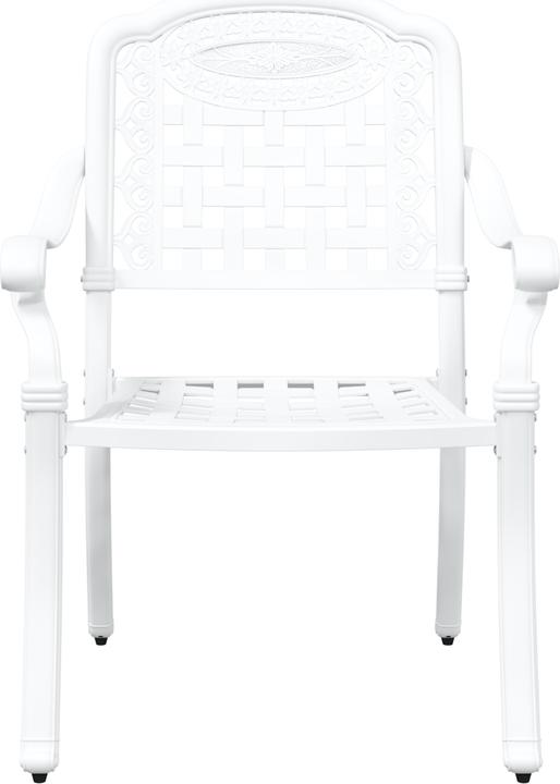 Actual product image VidaXL Garden chairs set of 2 white cast iron