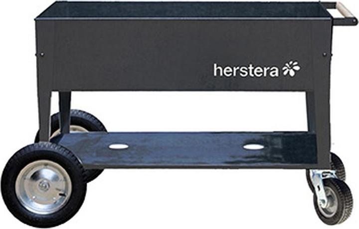 Herstera Swivel