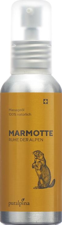 Actual product image Puralpina Marmotte Massage-Öl Ruhe der Alpen (100 ml)