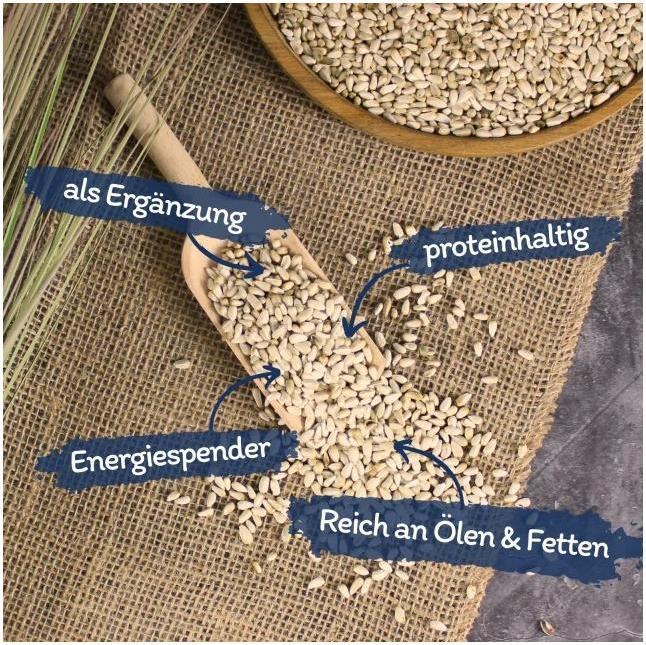 Produktbild Lyra Pet Kardisaat (1 x, 10 kg)