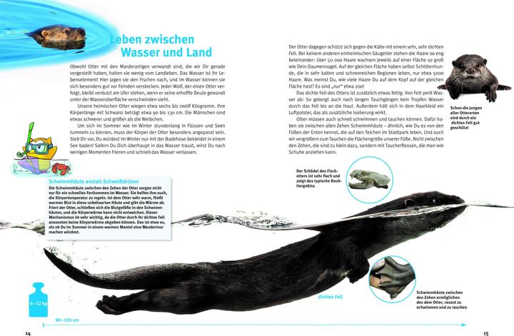 Image du produit Entdecke die Otter (Allemand, Krüger, Hans-Heinrich(Dr.), 2023)