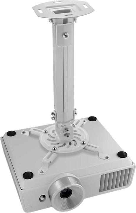 Image du produit Techly Support plafond pour vidéoprojecteur (Plafond)