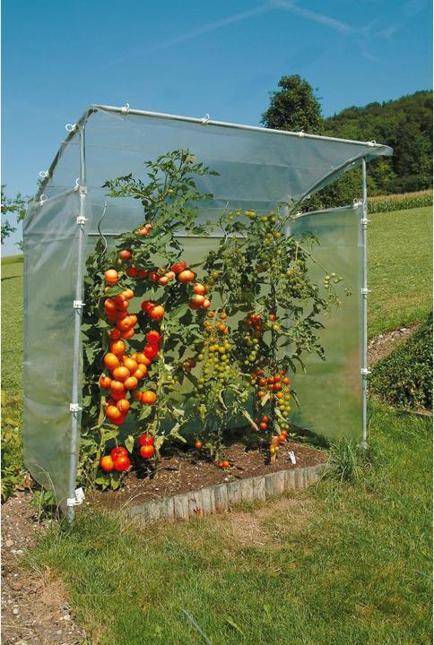 Image du produit Neogard Maison de la tomate