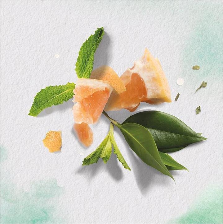 Produktbild Herbal Essences Weisse Grapefruit & Mosa Minze (250 ml, Flüssiges Shampoo)