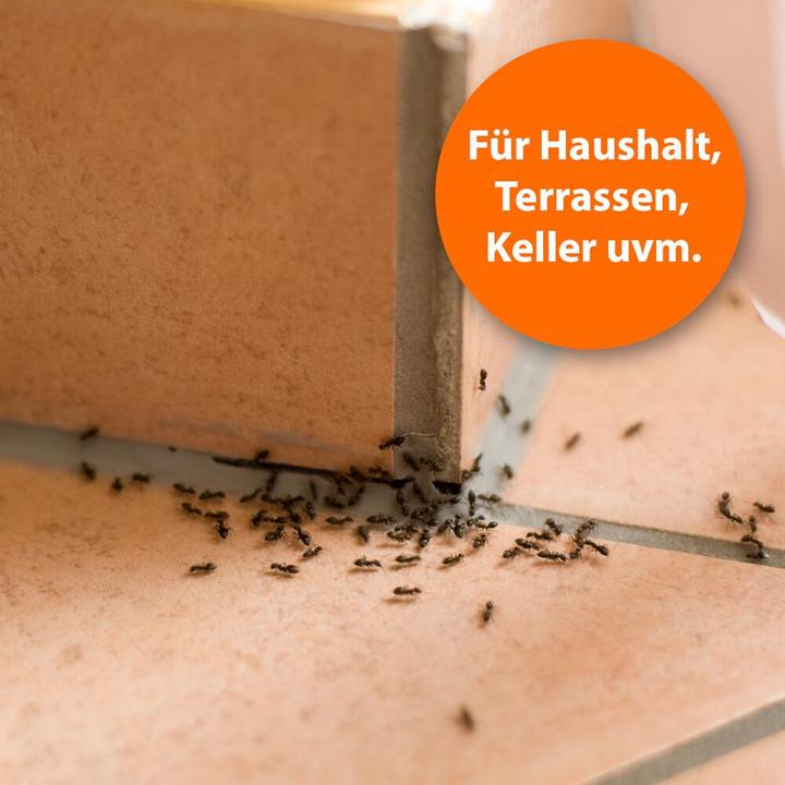 Actual product image Ardap Ant spray Zerst. (500 ml)