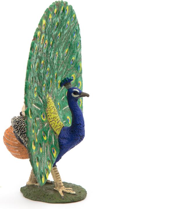 Actual product image Papo Peacock