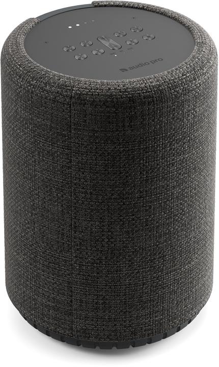 Audio Pro G10 - Speaker (Bluetooth)