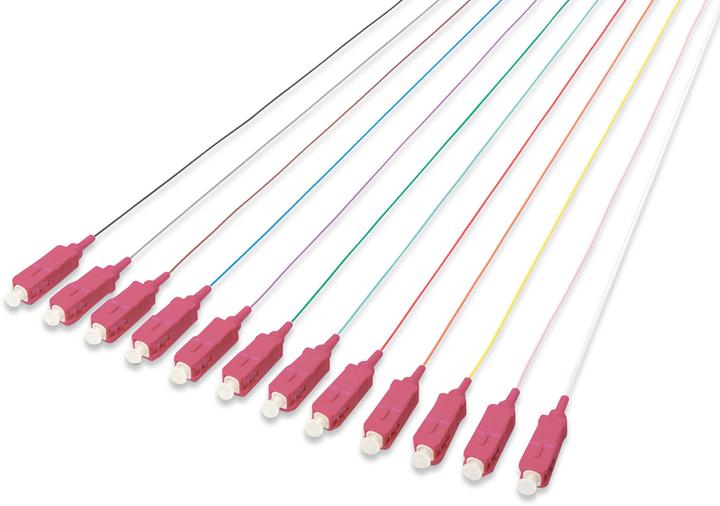 Actual product image Digitus SC/UPC 0.9mm 12 color LSZH pigtail Multimode 50/125um Class OM4 2m connector color RAL4003 (LSOH, CAT8.2, 2 m)