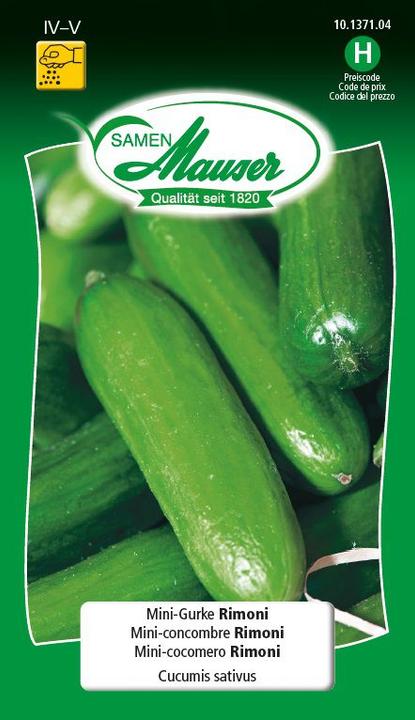 Samen Mauser Mini-concombre Rimoni (Graines de légumes)