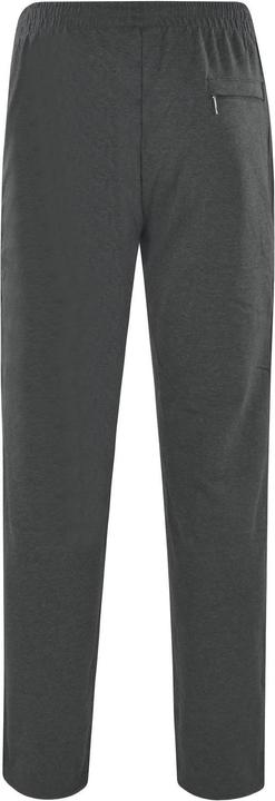 Actual product image Hajo Jogging pants Sporty Comfortable fit (54, XL)