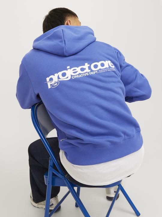 Produktbild Jack & Jones Jcounion Print Sweat Hood Noos (L)